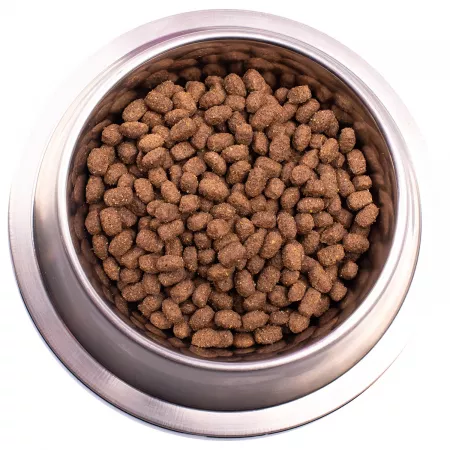 Gemon Dog Mini корм для щенков мелких пород курица с рисом 3 кг
