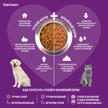 Gemon Dog Medium корм для взрослых собак средних пород с курицей 3 кг