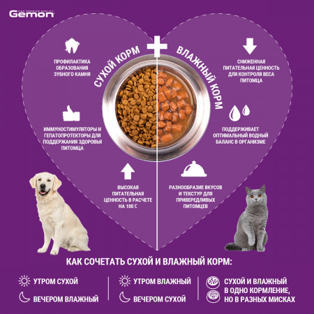 Gemon Cat консервы для пожилых кошек кусочки курицы с индейкой 415г