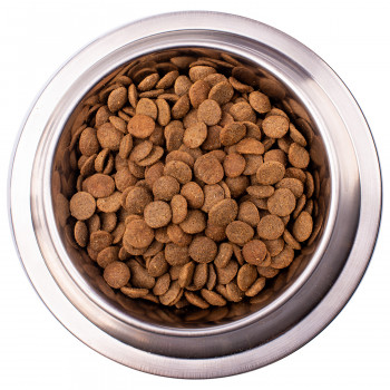 Gemon Dog Mini корм для взрослых собак мелких пород лосось с рисом 1 кг