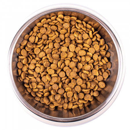Monge Cat корм для котят 400г