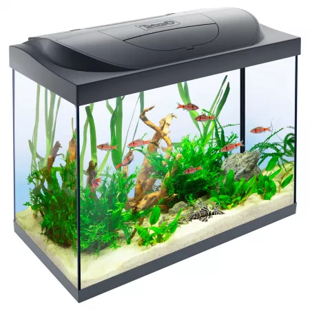 Tetra Starter Line LED черный аквариум 80 л