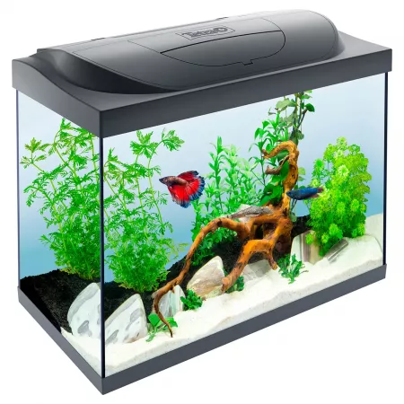 Tetra Starter Line LED черный аквариум 80 л