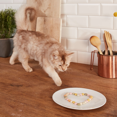 GIMCAT Витамины для кошек с водорослями и биотином 425 г