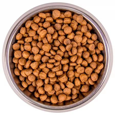Monge Cat BWild GRAIN FREE беззерновой корм из мяса буйвола для крупных кошек всех возрастов 1,5 кг