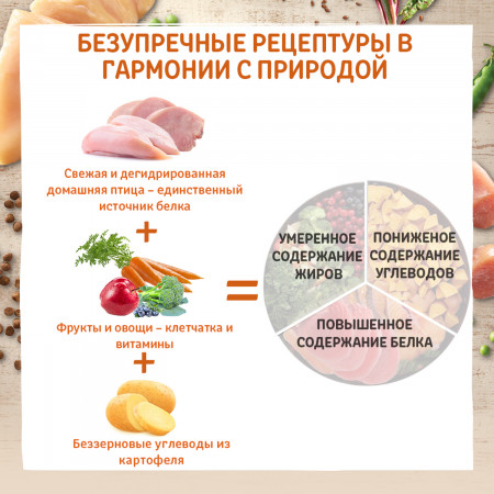 CORE корм из индейки для котят 300 г