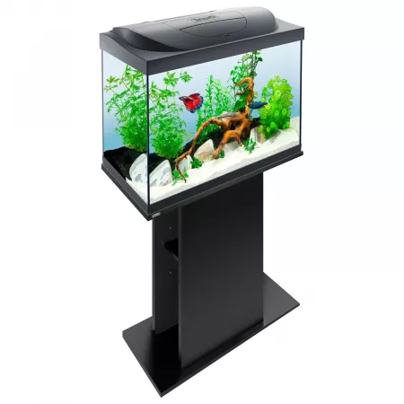 Tetra Starter Line LED черный аквариум 80 л